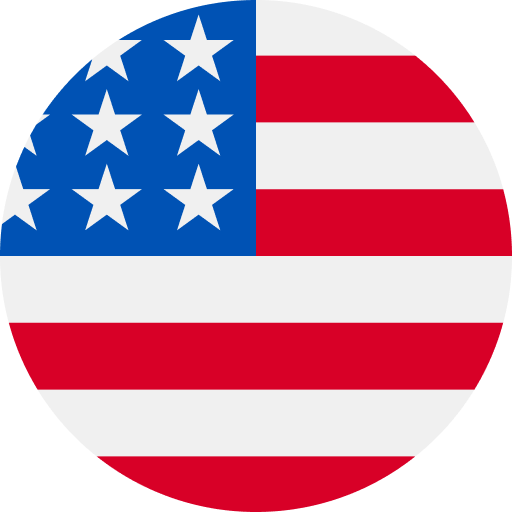Waikiki Flag